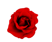 cocco2a2a1a2a1a1a1a1a1a1a1b1b1a3a1