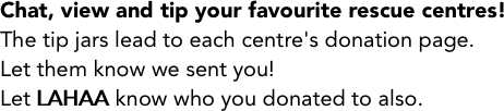 Chat, view and tip your