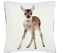 cocco2a2a1a2c1a1a1a1a1a1a1a1a1b1a2a1b1b1