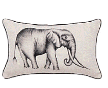 cocco2a2a1a2c1a1a1a1a1a1a1a1a1b1a2a2c1a1a1a1a1a