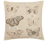 cocco2a2a1a2c1a1a1a1a1a1a1a1a1b1a2a1c2a1