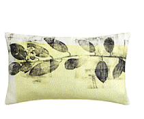 cocco2a2a1a2c1a1a1a1a1a1a1a1a1b1a2b1b1a1