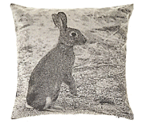 cocco2a2a1a2c1a1a1a1a1a1a1a1a1b1a2b1b1a1a