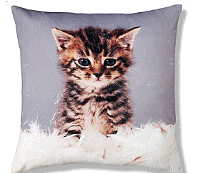 cocco2a2a1a2c1a1a1a1a1a2a1a1a1