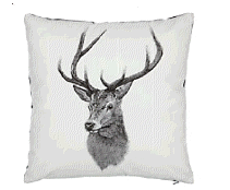 cocco2a2a1a2c1a1a1a1a1a1a1a1a1b1a2a1a1a1a