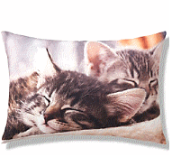 cocco2a2a1a2c1a1a1a1a1a2a1a1b2a1a1a1a1