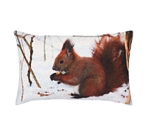 cocco2a2a1a2c1a1a1a1a1a1a1a1a1b1a2a1a1a1a1a1b2a1a1a1a2a1a1a1a1a2a1a1a1a1a1a