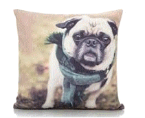 cocco2a2a1a2c1a2a1a1a1a1a1a1a1a1a1a1a1b2b1