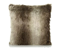 cocco2a2a1a2c1a2a1a1a1a1a1a1a1a1a1a1a1b2b1a