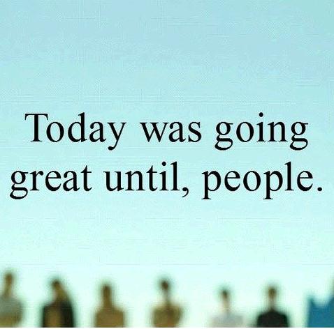 cf23c5def996ff86ed1a1421a1b47fd