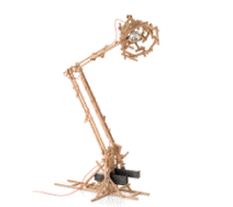 cocco2a2a1a2c1a1a1c1a1a1a1b1a1a1a1a1a1b