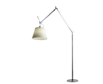 cocco2a2a1a2c1a2a1a1a1a1a1a1a1a1a1a1a1b2c