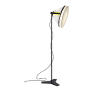 cocco2a2a1a2c1a2a1a1a1a1a1a1a1a1a1a1a1b2a1a1b