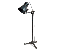 cocco2a2a1a2d1a1a1a1a1a1a1a1a1a1a1a1a1a3a1a1a2