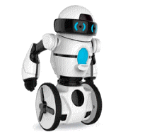 cocco2a2a1a2a1a1a1a1a1a1a1b1b1a1f1b