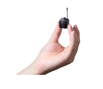 cocco2a2a1a2a1a1a1a1a1a1a1b1b1a1c