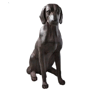 cocco2a2a1a2a2a1a1a1a1a2c1a2b2