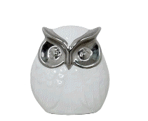 cocco2a2a1a2a2a1a1a1a1a2c1a1a