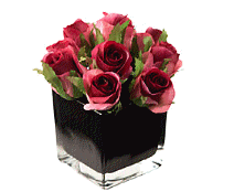 cocco2a2a1a2c1a1a1a1a1a1a1a1a1b1a2b2a1a1a1a2