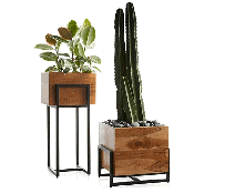 cocco2a2a1a2c1c1a1b1a1a1a1a1a1a1a1a2a2