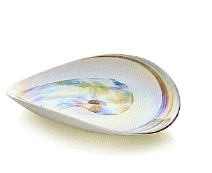 cocco2a2a1a2c1c1a1b1a1a1a1a1a1a1a1a2b1a1a1