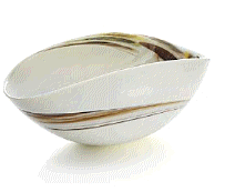 cocco2a2a1a2c1c1a1b1a1a1a1a1a1a1a1a2a2a1a1a