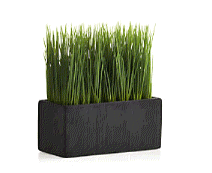 cocco2a2a1a2c1c1a1b1a1a1a1a1a1a1a1a2c1a1a1a