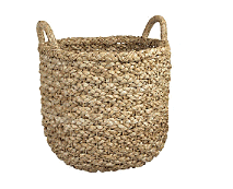 cocco2a2a1a2c1c1a1b1a1a1a1a1a1a1a1a2a1a3a1a