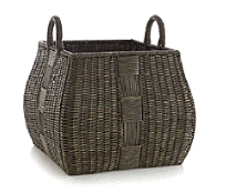 cocco2a2a1a2c1c1a1b1a1a1a1a1a1a1a1a2a1a1a1a1