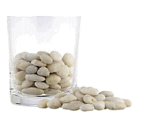 cocco2a2a1a2c1c1a1b1a1a1a1a1a1a1a1a2a1a2a1