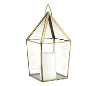 cocco2a2a1a2c1c1a1b1a1a1a1a1a1a1a1a2a1b