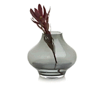 cocco2a2a1a2c1c1a1b1a1a1a1a1a1a1a1a2a1a3a