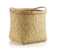 cocco2a2a1a2c1c1a1b1a1a1a1a1a1a1a1a2c1a