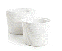 cocco2a2a1a2c1c1a1b1a1a1a1a1a1a1a1a2a1a3a1