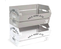 cocco2a2a1a2d1a1a1a1a1a1a1a1a1a1a1a1a1a3a1a1a1a1a