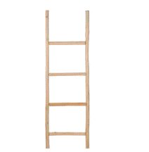 cocco2a2a1a2d1a1a1a1a1a1a1a1a1a1a1a1a1a3c1a7