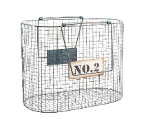 cocco2a2a1a2d1a1a1a1a1a1a1a1a1a1a1a1a1a3a1b1a1a