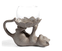 cocco2a2a1a2d1a1a1a1a1a1a1a1a1a1a1a1a1a3a1a2a1a