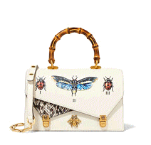 cocco2a2a1a2a1a1a1a1a1a1a4d1a1b2b1a1a1b1a2a1a1a1b1