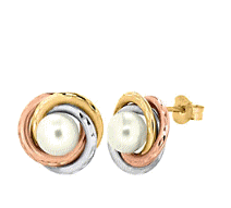 cocco2a2a1a2c1a1a1a1a1a1a1a1a1b1a2a1a2a1a3a1a1a1b1a