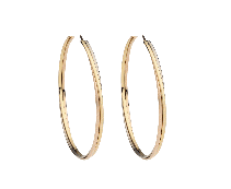 cocco2a2a1a2c1a1a1a1a1a2a1a1a1a1a1a1a1a2a1a1a