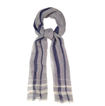 cocco2a2a1a2a1a1a1a1a1a1a5a1a2a