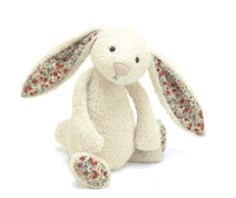 cocco2a2a1a2a1a1a1a1a1a1a3a3a2