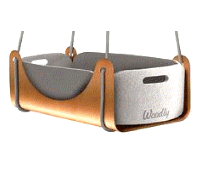 cocco2a2a1a2a1a1a1a1a1a1a1b1b1a3a1a