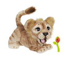 cocco2a2a1a2c1c1a1a1a1a1a1a1b1a1a2a8