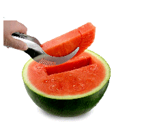 cocco2a2a1a2a1a1a1a1a1a1a1b1b1a1i1a1b1a1