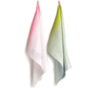 cocco2a2a1a2c1a1a1a1c1a1c1