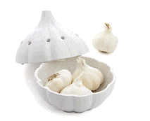 cocco2a2a1a2c1c1a1b1a1a1a1a1a1a1a1a2a1b1a