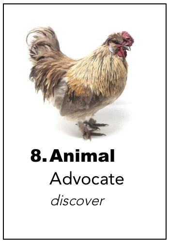 animaladvocate