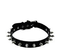 cocco2a2a1a2a1a1a1a1a1a1a1b1b1a1a3b